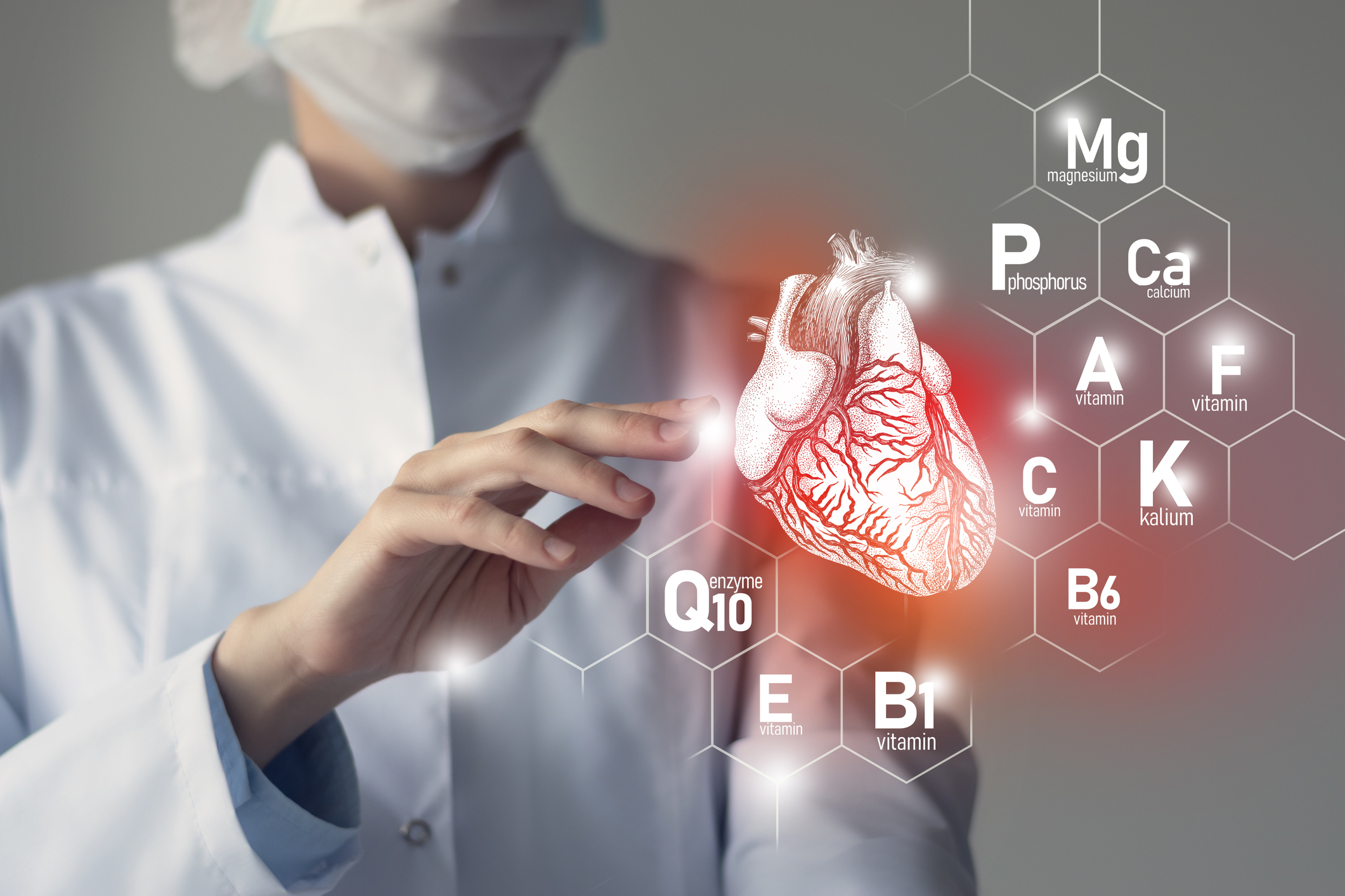 Model ini menunjukkan jantung, vitamin dan mineral serta koenzim Q10.